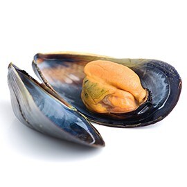 貽貝和蛤蜊 貽貝和蛤蜊
