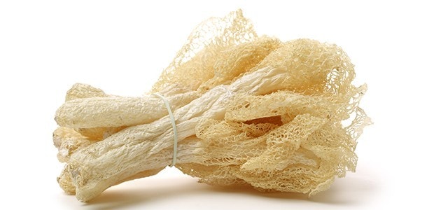 竹笙:協助止咳潤肺,味道清潤更補氣 竹笙:協助止咳潤肺,味道清潤更補氣