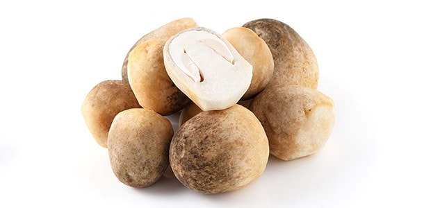 菇:富含維生素C,協助強化免疫系統 菇:富含維生素C,協助強化免疫系統