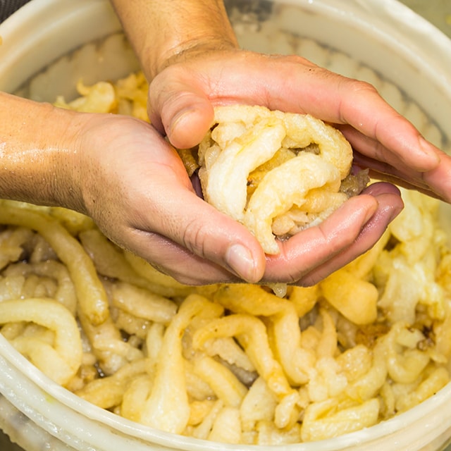 淬鍊完美風味  花膠泡發要訣