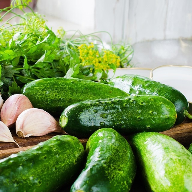 涼拌小黃瓜專業做法大公開,爽脆更難忘 涼拌小黃瓜專業做法大公開,爽脆更難忘