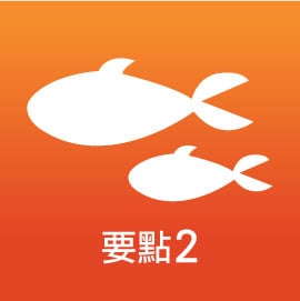 嶄新羊肉湯的靈魂食材 嶄新羊肉湯的靈魂食材