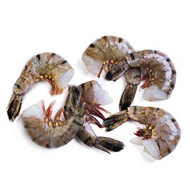 冬季食材6. 蝦子 冬季食材6. 蝦子