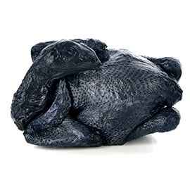 冬季食材1. 烏骨雞 冬季食材1. 烏骨雞