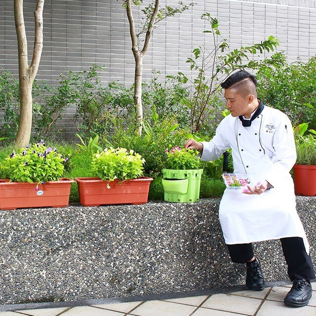 福容林口A8鄧正中主廚的食用花搭配擺盤祕訣 福容林口A8鄧正中主廚的食用花搭配擺盤祕訣