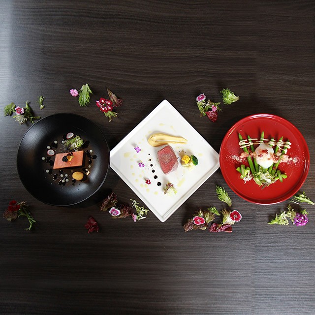 平價版低溫調理機  食神的舒肥革命 平價版低溫調理機  食神的舒肥革命