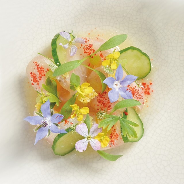 料理擺盤Part 2:醬汁佐料運用 料理擺盤Part 2:醬汁佐料運用