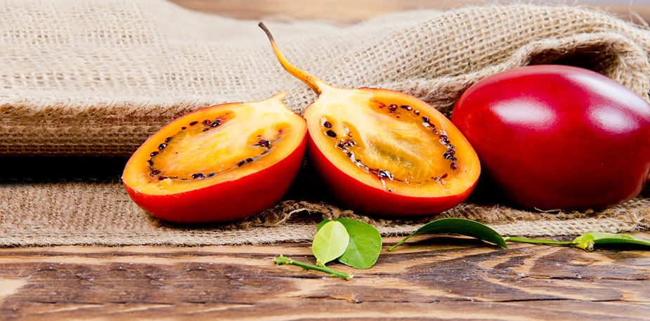 樹番茄是什麼？樹番茄料理做法與吃法！