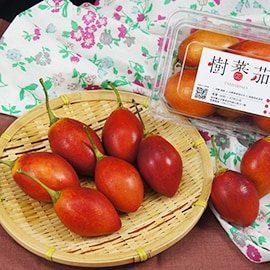 樹蕃茄食材:春霖山園 樹蕃茄食材:春霖山園