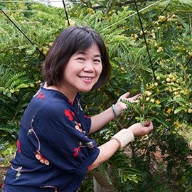 苗栗縣油甘運銷合作社理事主席江易積 苗栗縣油甘運銷合作社理事主席江易積