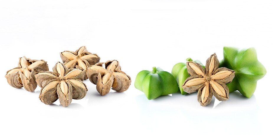 台灣新食材—全株可食的超級新「星」：印加果