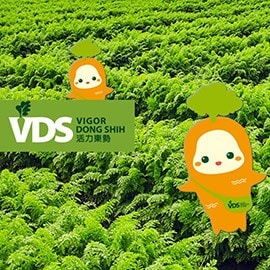 VDS活力東勢 VDS活力東勢