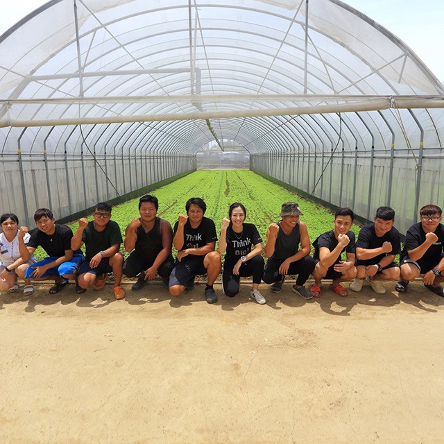 台灣好食材—深受連鎖餐飲信任的高科技葉菜農場：桃城蒔菜