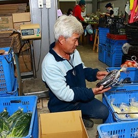 元氣家農場 元氣家農場
