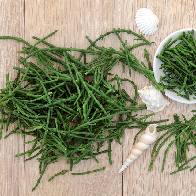 海洋蔬菜新貴族：海蘆筍 (學名海蓬子，台灣新食材)