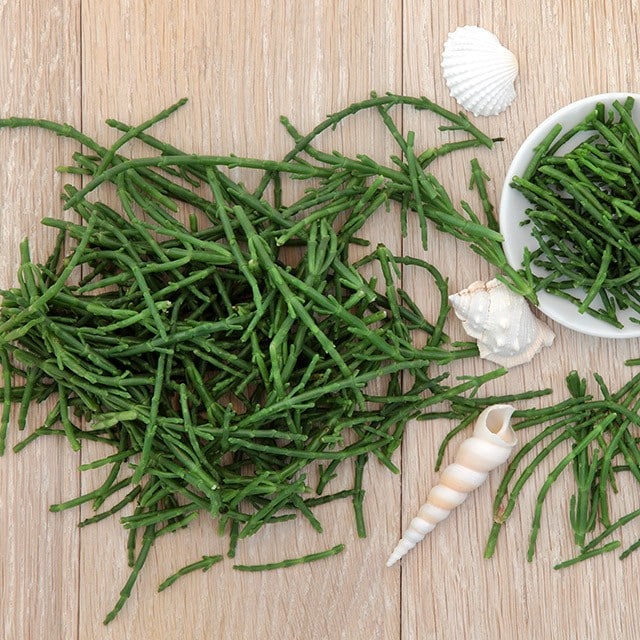 海洋蔬菜新貴族:海蘆筍 (學名海蓬子,台灣新食材) 海洋蔬菜新貴族:海蘆筍 (學名海蓬子,台灣新食材)