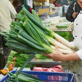 3. 日本大蔥 3. 日本大蔥