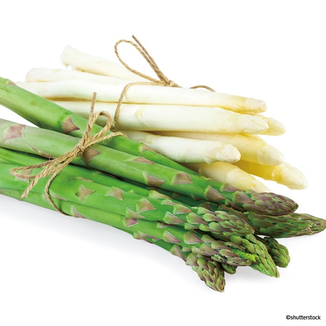 來自地中海的翡翠  綠白蘆筍