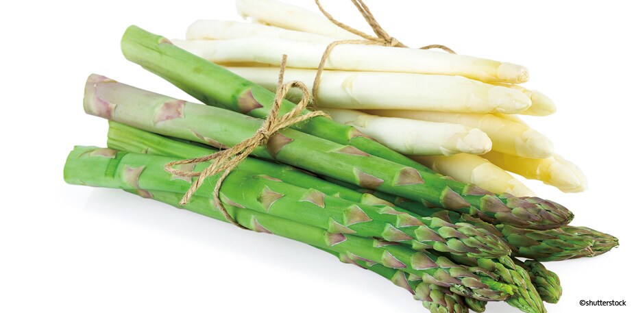 來自地中海的翡翠  綠白蘆筍