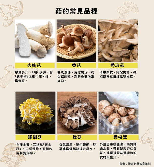 食用菇有哪些？風味、烹調指南
