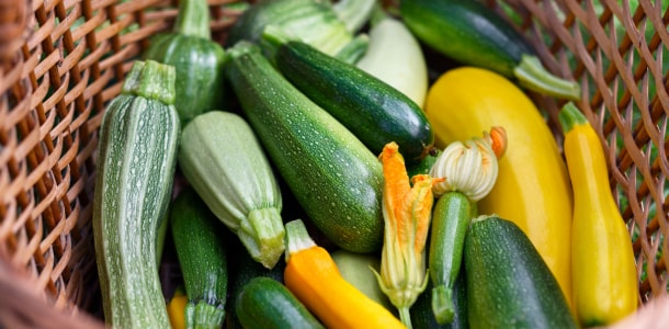 櫛瓜的中文學名為「夏南瓜（summer squash）」，原產於美洲，是南瓜家族的一員。