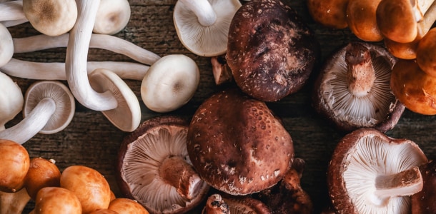 從高山的香菇到平地的杏鮑菇，菇類早已是台灣家庭與餐廳餐桌上常見的食材之一。