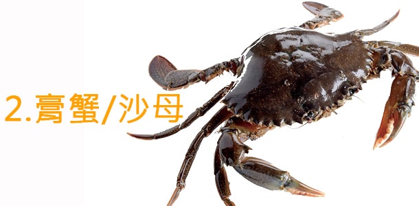 膏蟹/沙母 膏蟹/沙母