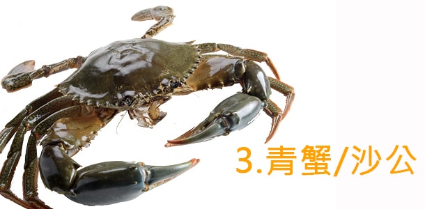 青蟹/沙公 青蟹/沙公