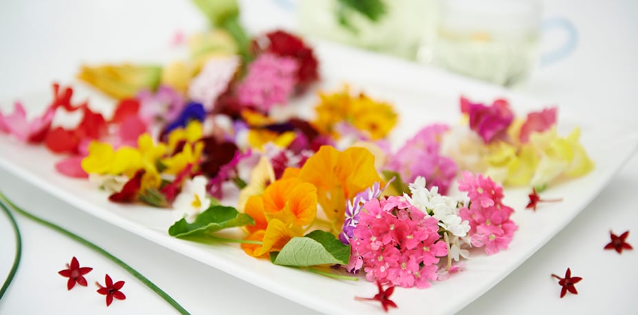 一花一世界  開在餐桌上的食用花