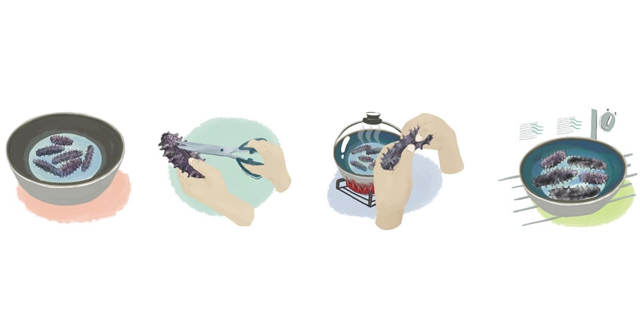 發泡中的海參最怕的事