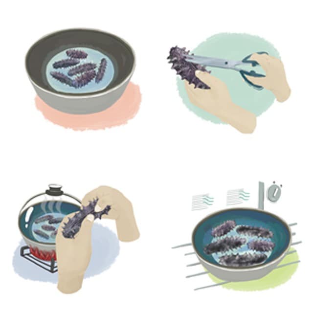 發泡中的海參最怕的事 發泡中的海參最怕的事