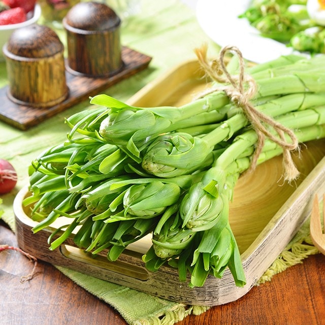蘆筍?晚香玉筍?傻傻分不清楚 蘆筍?晚香玉筍?傻傻分不清楚
