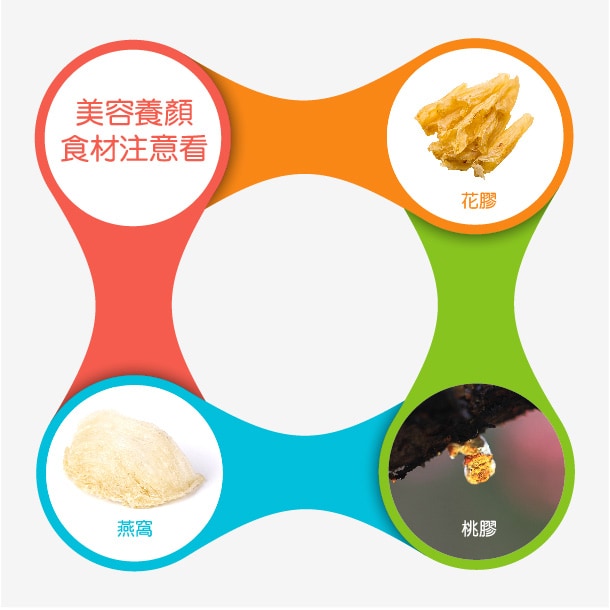美容養顏食材注意看:燕窩、花膠、桃膠 美容養顏食材注意看:燕窩、花膠、桃膠