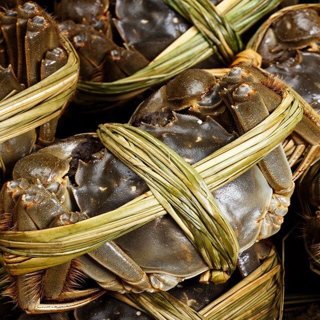 【食在新聞】中國大閘蟹戴奧辛超標  遭退運銷毀