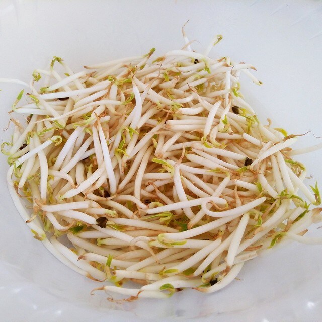 【食在新聞】賣黑心漂白豆芽，業者遭起訴