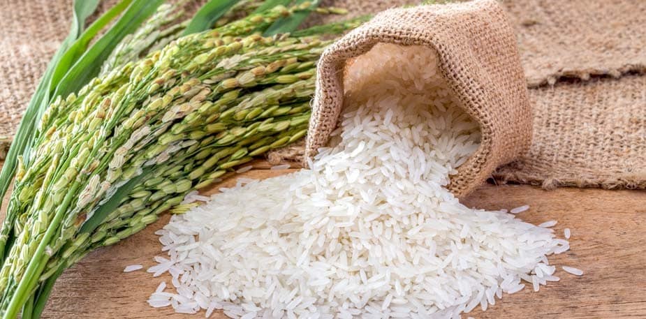 【食在新聞】食物汙染物質及毒素標準新措施，明年實施