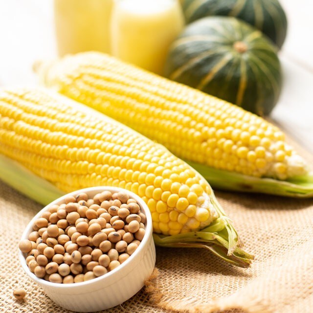 【食在新聞】非基改原料新規定！違者受罰