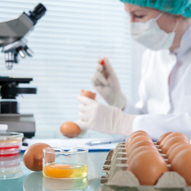 【食在新聞】禽蛋芬普尼首訂限量標準  違法最高罰6億