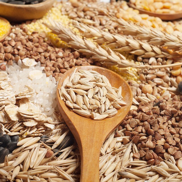 【食在新聞】食物過敏原標示增加6類，違者受罰