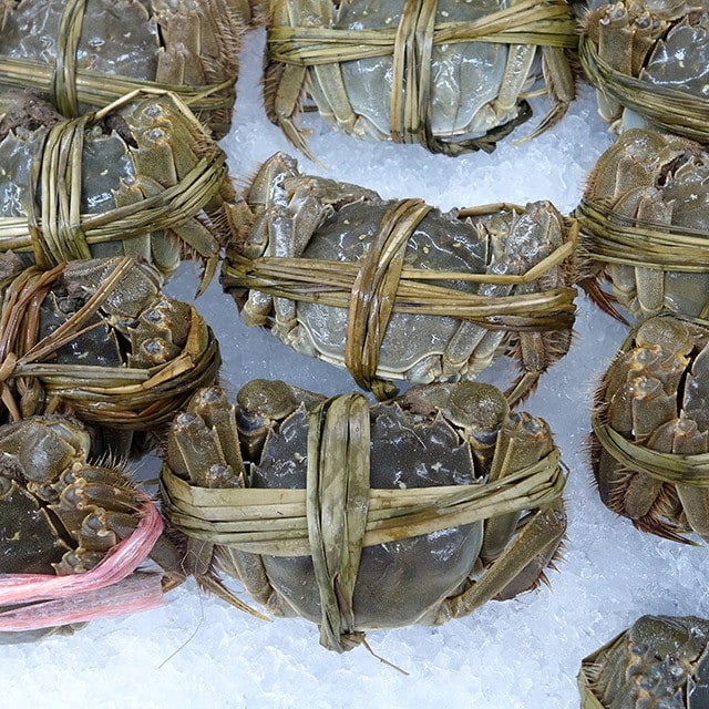 【食在新聞】大陸大閘蟹卡關！10月才有得吃