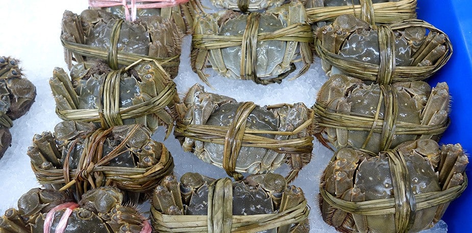 【食在新聞】大陸大閘蟹卡關！10月才有得吃
