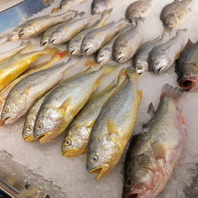 【食在新聞】北市抽檢水產品，黃魚、甲魚不合格