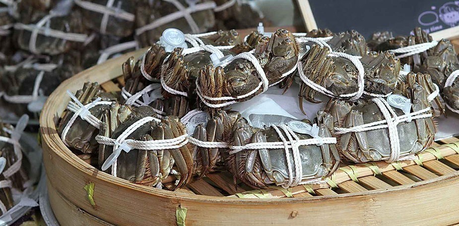 【食在新聞】採購注意！戴奧辛毒蟹已經流入市面