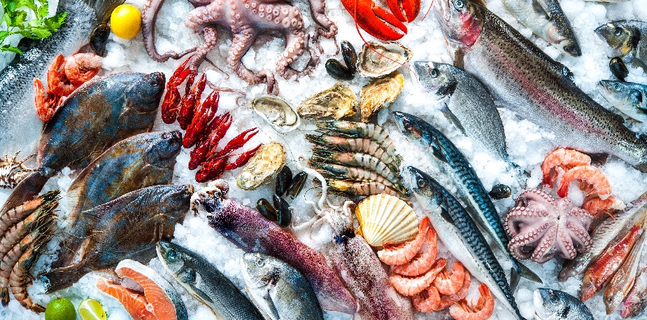 【食在新聞】高市緝20噸過期海鮮 恐流入市