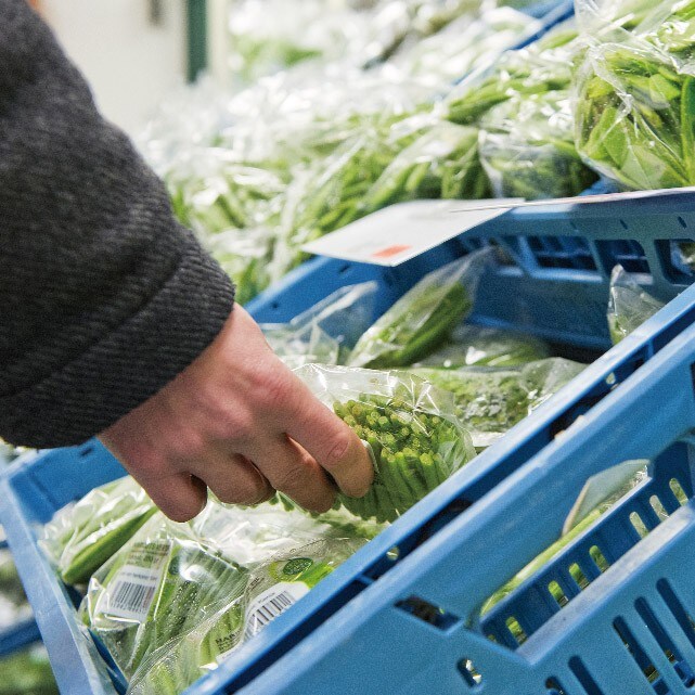 【食在新聞】地瓜葉、銀耳傳農藥殘留