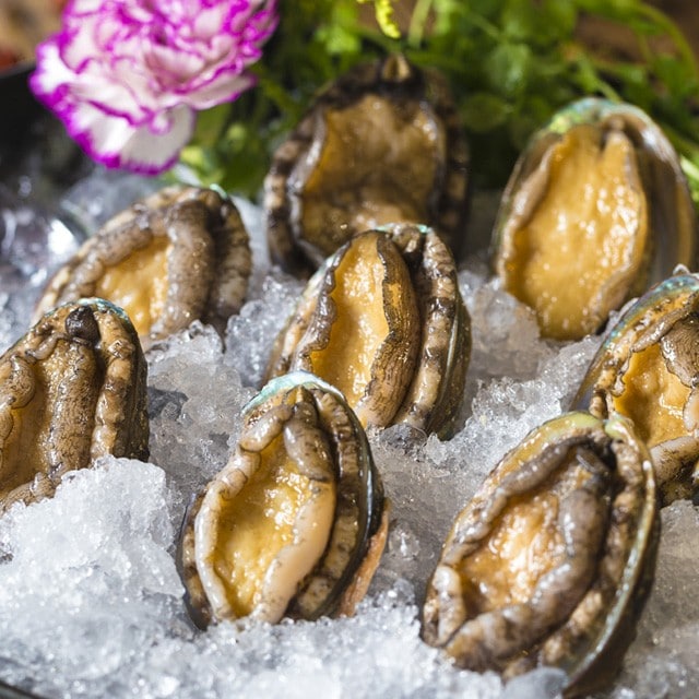 【食在新聞】採購注意！過期鮑魚改標賣