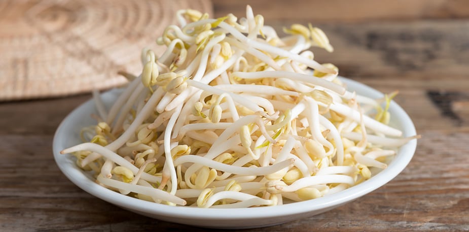 【食在新聞】黑心豆芽菜 漂白後牟利