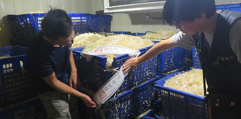 【食在新聞】新北查獲黑心豆芽菜，2,200公斤遭封存