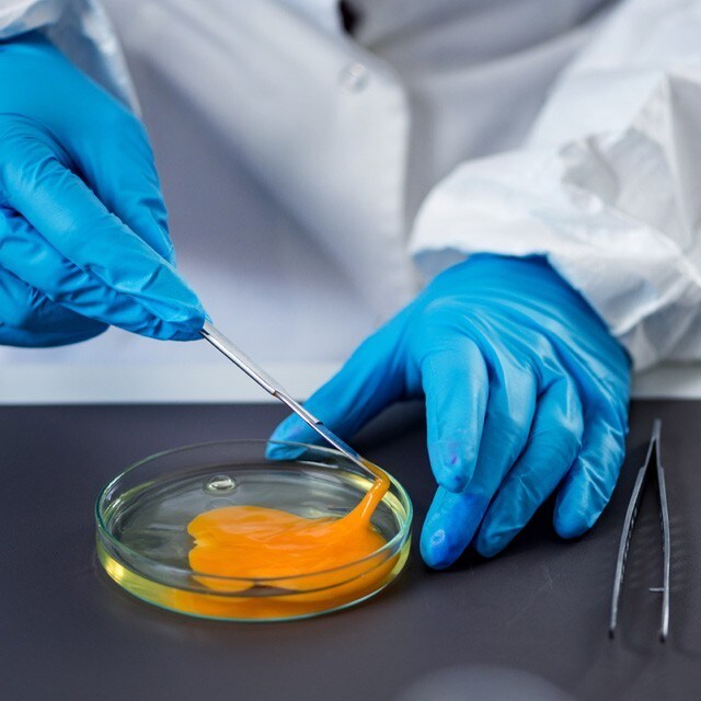 【食在新聞】雞蛋芬普尼殘留容許量放寬至10ppb