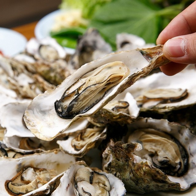 【食在新聞】採購注意！貝類進口新制，2018年起須附官方證明